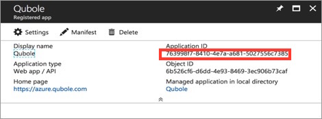 ../../../../_images/Azure-Application-ID.jpg